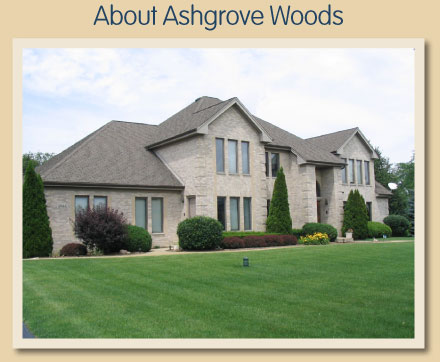 About Ashgrove Woods